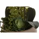 Decorative Plant Home ESPRIT Polyethylene Papier-mâché 40 X 35 X 52 cm (2 Units)