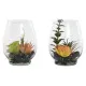 Decorative Plant Home ESPRIT PVC Crystal 10 x 10 x 15 cm (2 Units)