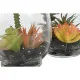 Decorative Plant Home ESPRIT PVC Crystal 10 x 10 x 15 cm (2 Units)