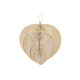 Wall Decoration Home ESPRIT Light brown Natural Fan Tropical (4 Pieces)