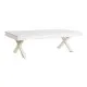 Centre Table DKD Home Decor 140 x 70 x 42 cm Metal Mango wood