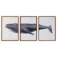 Juego de 3 cuadros DKD Home Decor 150 x 2 x 70 cm Ballena
