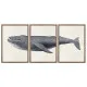 Juego de 3 cuadros DKD Home Decor 150 x 2 x 70 cm Ballena