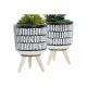 Decorative Plant DKD Home Decor Ceramic Black Polyethylene White Green (7 x 7 x 19 cm) (2 Units)