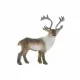 Decorative Figure DKD Home Decor Polyester Foam Deer (31 x 14 x 36 cm)
