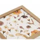 Decorative box Versa Petals MDF Wood 24 x 7 x 24 cm