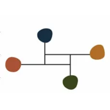 Wall mounted coat hanger Versa Multicolour 24,5 x 6 x 41 cm