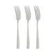 Fork Set Silver Stainless steel 2,5 x 21,3 x 0,3 cm (12 Units)