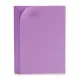 Eva Rubber Pincello 1804048-016 Violet 65 x 0,2 x 45 cm (12 Units)