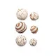 Set de Bolas Decorativas Marrón Blanco (12 Unidades)