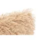 Cushion Beige Cotton Polyester 45 x 2 x 45 cm (6 Units)