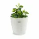 Planter Stefanplast White Plastic 29 x 27 x 29 cm (6 Units)