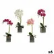Flor Decorativa Ibergarden A18124-50-2 Orquídea 14 x 51 x 18 cm (6 Unidades)