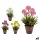 Decorative Plant Ibergarden 20801 Cork Ceramic Plastic 24 x 43 x 24 cm (8 Units)