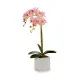 Planta Decorativa Ibergarden A18124-50-2WH Plástico Orquídea 18 x 47 x 14 cm (6 Unidades)
