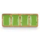 Bandeja con Compartimentos MALI-941 G Verde 46 x 3 x 17 cm (6 Unidades)