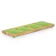 Bandeja con Compartimentos MALI-941 G Verde 46 x 3 x 17 cm (6 Unidades)