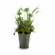 Decorative Plant Ibergarden XD16-819 Cork Plastic Flowers Field 20 x 41 x 20 cm (6 Units)