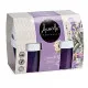 Set de Ambientadores Acorde 1165-LAVANDA Lavanda Gel (24 Unidades)