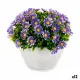 Decorative Plant Ibergarden S17-L048 Plastic Marguerite 14 x 13 x 14 cm (12 Units)