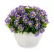 Decorative Plant Ibergarden S17-L048 Plastic Marguerite 14 x 13 x 14 cm (12 Units)