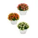 Decorative Plant Ibergarden S17-L048 Plastic Marguerite 14 x 13 x 14 cm (12 Units)