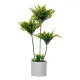 Decorative Plant Ibergarden XD22-1826 Plastic Cement Palm tree 20 x 70 x 20 cm (4 Units)
