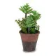 Decorative Plant Ibergarden XD16-849 Plastic