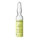 Ampollas Efecto Lifting Cell Repair Dr. Grandel (3 ml)