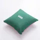 Cushion Benetton Green Pink Apple 40 x 40 cm Squared