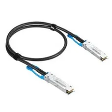Cable de Red Rígido UTP Categoría 6 Extreme Networks 100G-DACP-QSFP1M Negro 1 m
