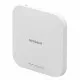 Punto de Acceso Netgear WAX610-100EUS        Blanco