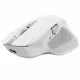 Wireless Mouse Trust 24935 White 3200 DPI
