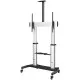 Soporte TV Startech STNDMTV100 100