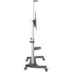 Soporte TV Startech STNDMTV100 100
