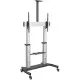 Soporte TV Startech STNDMTV100 100