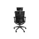 Gaming Chair Genesis Astat 200