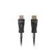 HDMI Cable Lanberg CA-HDMI-30FB-0300-BK