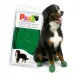 Botas Pawz Perro 12 Unidades Talla XL Verde
