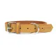 Collar para Perro Gloria Oasis Amarillo (1,5 x 40 cm)