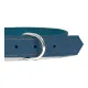 Collar para Perro Gloria Oasis Azul (55 x 2,5 cm)