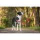 Arnés para Perro Red Dingo 36-50 cm Rojo S
