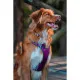 Arnés para Perro Red Dingo Dingo 25-36 cm 31-43 cm Morado XS