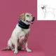 Cervical Collar for Dogs KVP Black (18-53 cm)