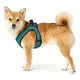 Arnés para Perro Hunter Hilo-Comfort Turquesa XS/S (37-42 cm)