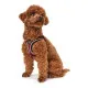 Dog Harness Hunter Hilo-Comfort Red Size S/M (48-55 cm)