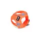 Arnés para Perro Gloria Trek Star 24-26 cm 28-28,6 cm Naranja XXS