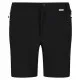 Men's Sports Shorts Regatta Mountain II BK Black