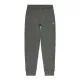 Long Sports Trousers Champion Straight Hem Grey Men