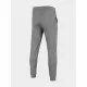 Pantalón de Chándal para Adultos 4F Functional  Hombre